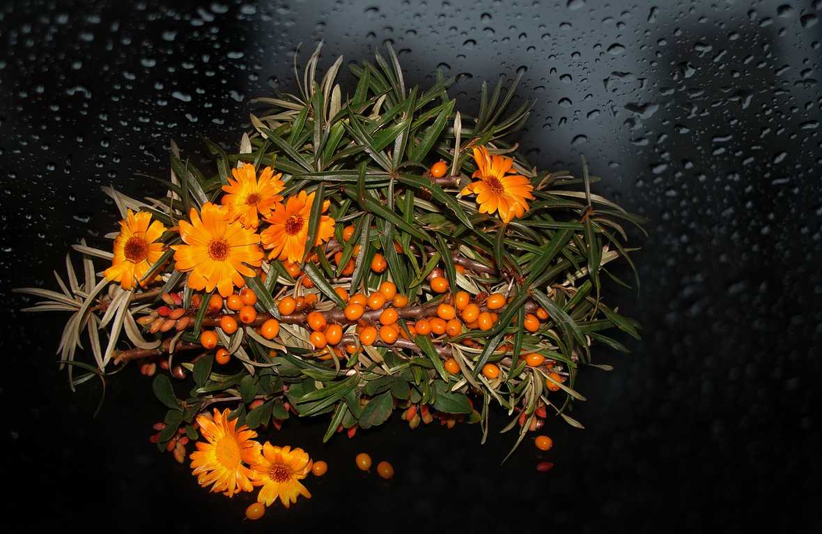 نکات کاربردی برای بهبود خواب شبانه