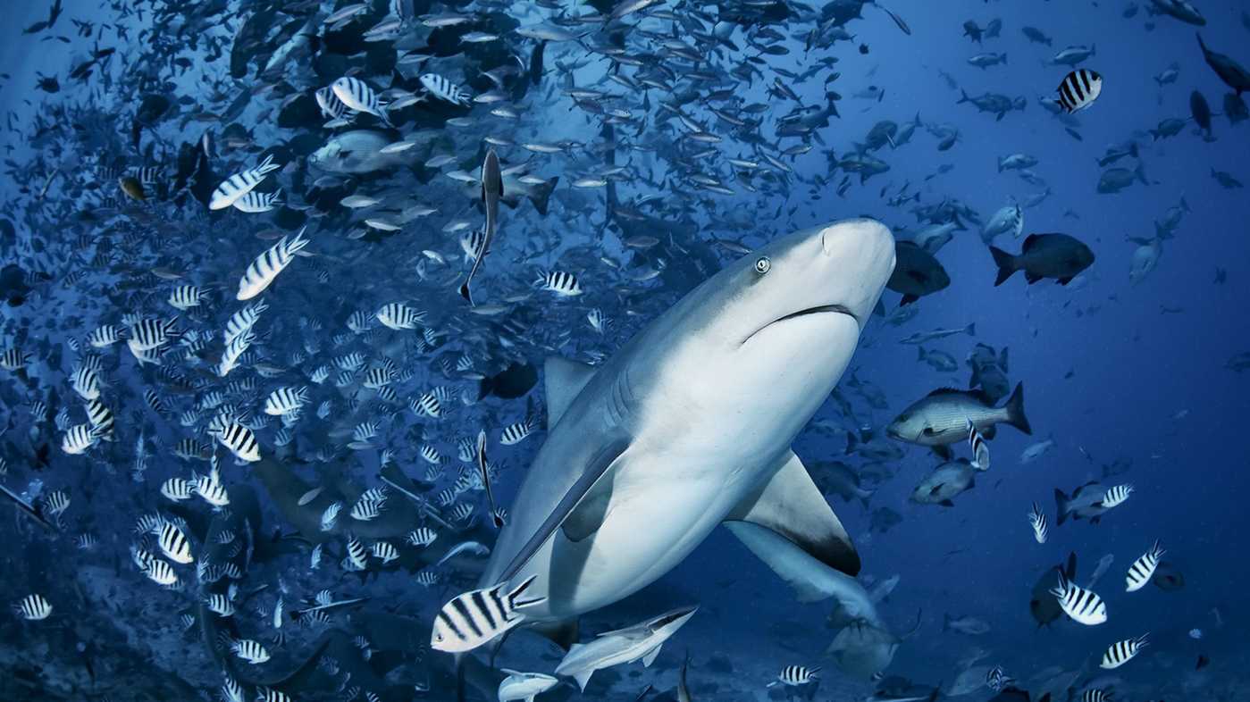نکات کاربردی برای بهبود خواب شبانه