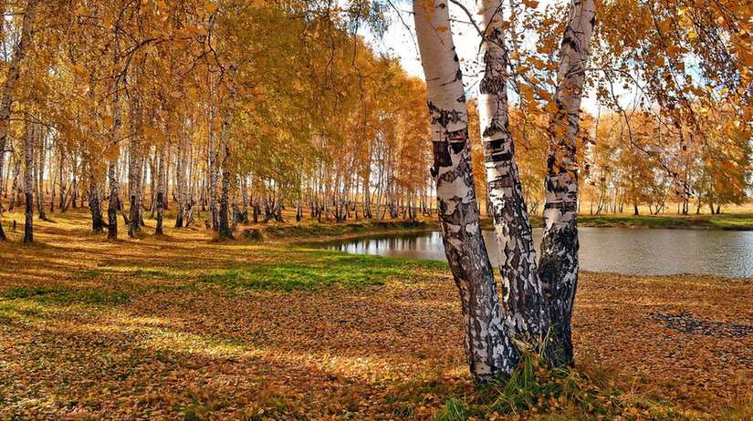 نکات کاربردی برای بهبود خواب شبانه